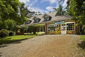 Curtis Falls Mountain Retreat - Accommodation Perth 0