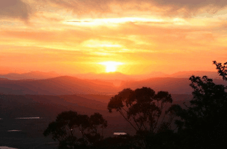 Avocado Sunset - thumb 0