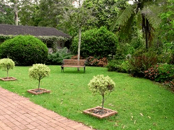 Tall Trees Motel - Accommodation Perth 2