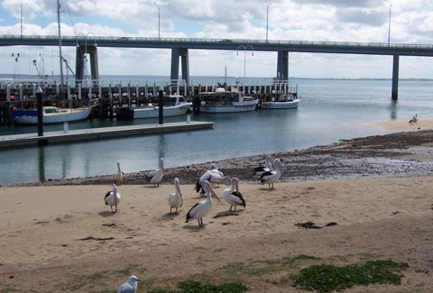 BIG4 Phillip Island Caravan Park - Accommodation Perth 5