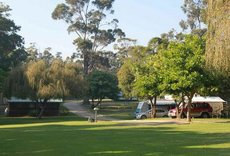 A Wangralea Caravan Park - Accommodation Perth 3