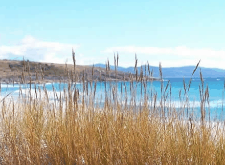 White Sands Estate - Perth Resorts
