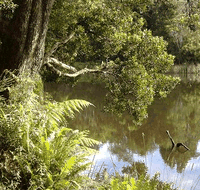 Weldborough Hotel - Accommodation Perth