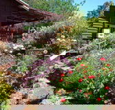 Chestnut Brook Cottage - Accommodation Perth