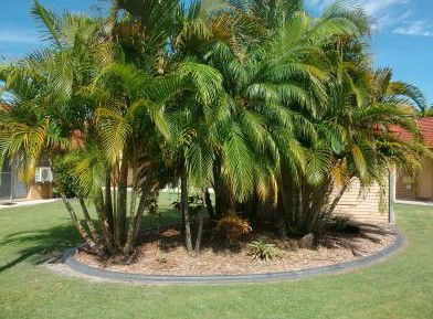 Yamba Motor Inn - Accommodation Perth 5