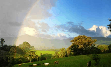 Nimbin Rox YHA - Accommodation Perth 3