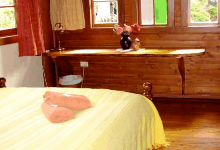 Nimbin Holiday Accommodation & Guest House - Accommodation Perth 5