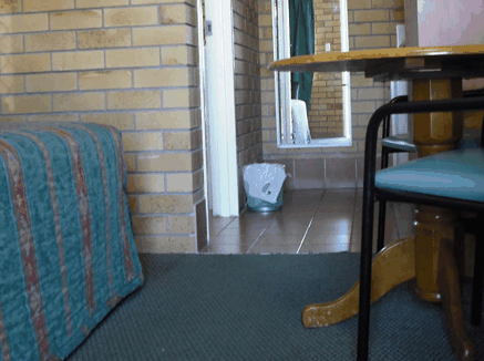 Dragon  Phoenix Motel - Accommodation Perth