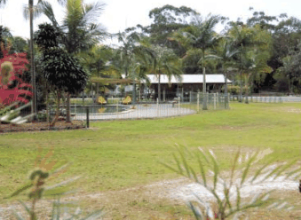 Minnie Water Holiday Park - Accommodation Perth 5