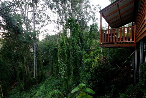 Ravensbourne Forest Chalets - Accommodation Perth 1