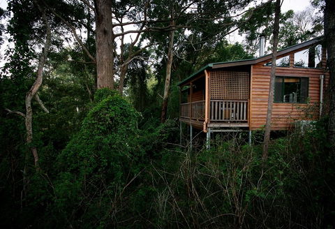 Ravensbourne Forest Chalets - Accommodation Perth 4