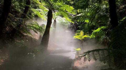 Australian National Botanic Gardens - Accommodation Perth 4