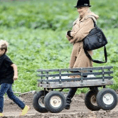 Perth City Farm Organic Markets