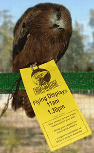Eagles Heritage Raptor Wildlife Centre - Accommodation Perth 1