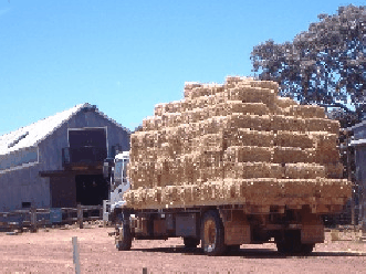 Avondale Discovery Farm - Accommodation Perth 1