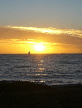 Kidogo Arthouse - Accommodation Perth 1