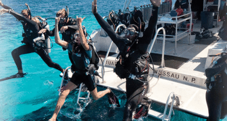 Snorkel Safari Brisbane - Accommodation Perth 0