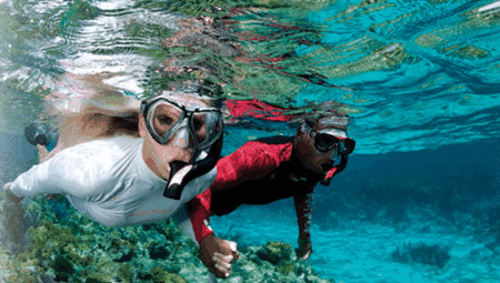 Snorkel Safari Brisbane - Accommodation Perth 1