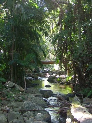 Thunderbird Park - Accommodation Perth 2