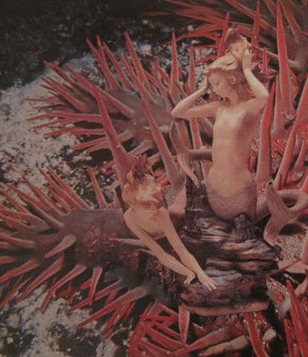 Bower Gallery - Accommodation Perth 1