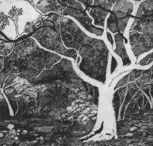 Tacit Contemporary Art - Accommodation Perth