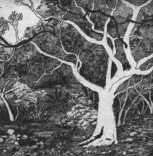 Tacit Contemporary Art - Accommodation Perth 0