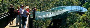 Kings Park Botanic Gardens - Accommodation Perth 1