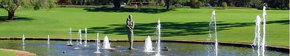 Kings Park Botanic Gardens - Accommodation Perth 3