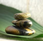 The Nature of Balance - Accommodation Perth
