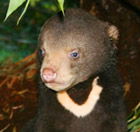 South Perth WA Accommodation Perth