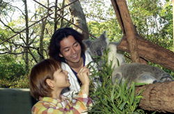 Taronga Zoo - Accommodation Perth 2