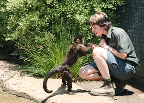 National Zoo & Aquarium - Accommodation Perth 1