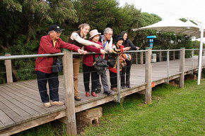 Phillip Island Penguin Parade - Accommodation Perth 1