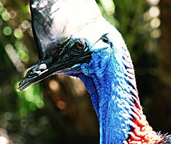 Northern Brisbane And Moreton Bay QLD Accommodation Perth