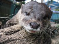 Underwater World - Accommodation Perth 1