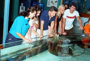 Underwater World - Accommodation Perth 3