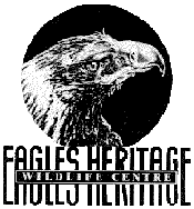 Eagles Heritage - Accommodation Perth 0