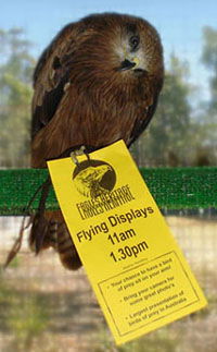 Eagles Heritage - Accommodation Perth 1