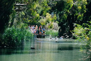Cleland Wildlife Park - Accommodation Perth 1