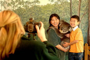 Cleland Wildlife Park - Accommodation Perth 2
