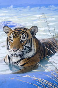 Zoo Doo Wildlife Park - Accommodation Perth 0
