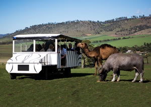 Zoo Doo Wildlife Park - Accommodation Perth 2