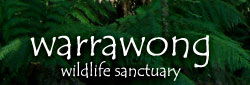 Warrawong Wildlife Park - Accommodation Perth 0