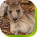 Calmsley Hill City Farm - Accommodation Perth 0