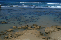 Braddon ACT Perth Resorts