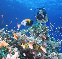 Drop Zone Dive Site - Perth Resorts
