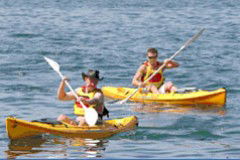Manly Kayaks - Accommodation Perth 0