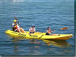 Manly Kayaks - Accommodation Perth 3