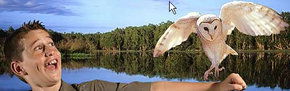 Territory Wildlife Park - Accommodation Perth 2