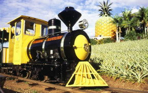 The Big Pineapple - Accommodation Perth 3
